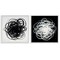 Stupell Industries Black & White Tangled Lines 2 pc Framed Giclee Wall Art Set Design by Haxton